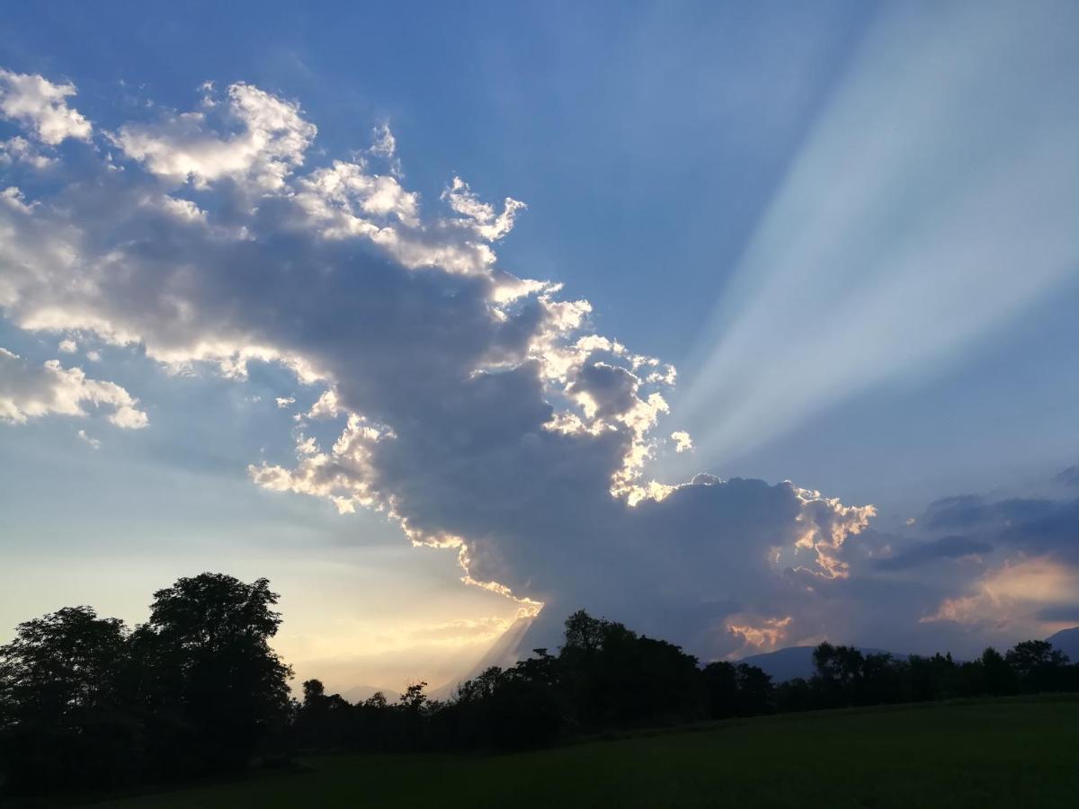 Falco Bianco San Daniele del Friuli Buitenkant foto